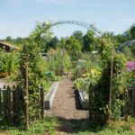 Beautiful homestead garden