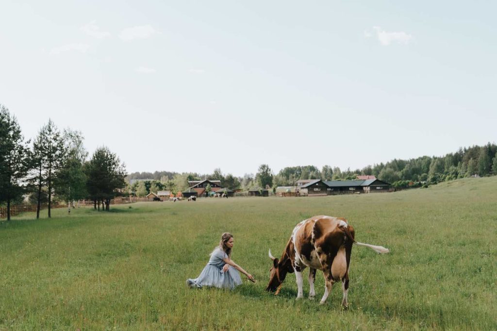 Girl enjoying cow company due to Homestead Exemption
