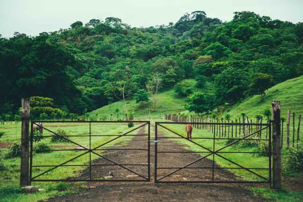 Retro metal gate