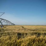 Water Irrigation system on Texas farm