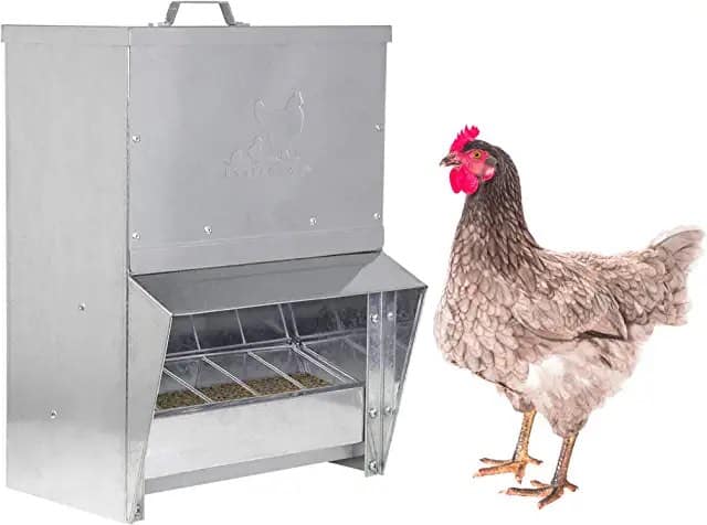 RentACoop Automatic Chicken 25lb Treadle Feeder