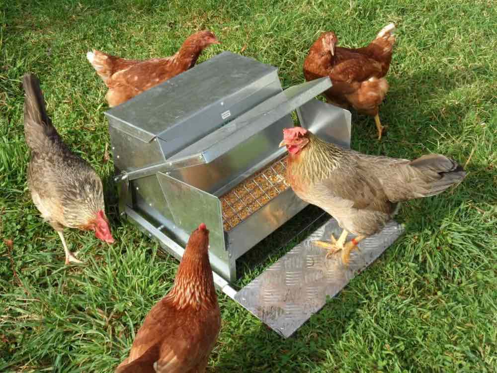 GrandPa's Automatic Chicken Feeder system