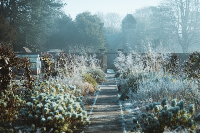 Beautiful winter garden. Image source: Annie Spratt
