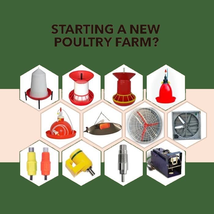 Overview of Poultry farming equipment. More details below.