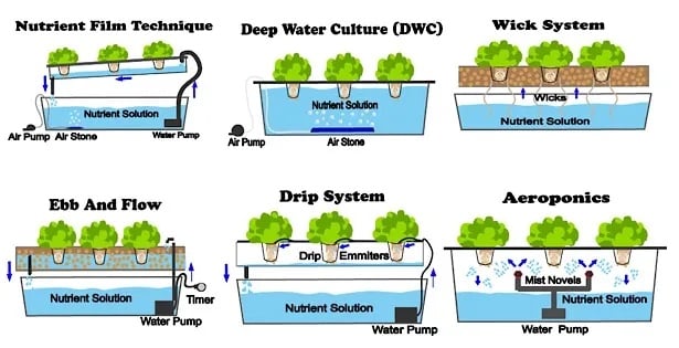 Example of different no-soil systems, e.g. a hydroponic system. Image source: nosoilsolutions.com.