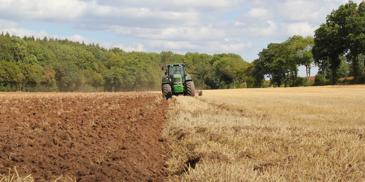 Tractor harvesting on small farm. Photo by Richard Bell.