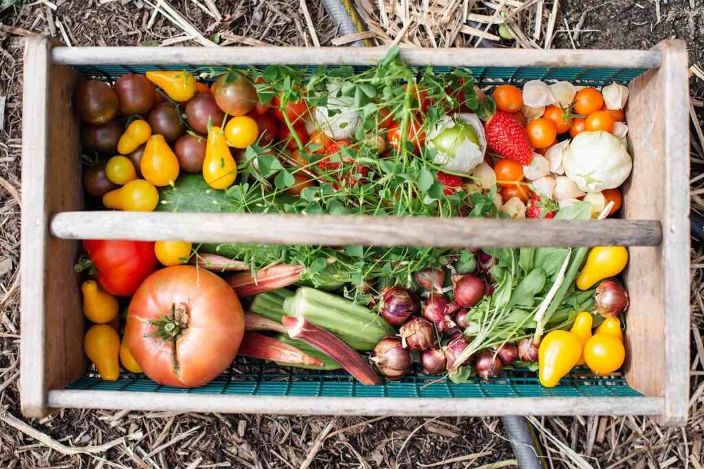 Wooden box of vegetables from local farm. Photo by Zoe Schaeffer.