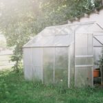 A small standalone greenhouse kit set up in a backyard garden