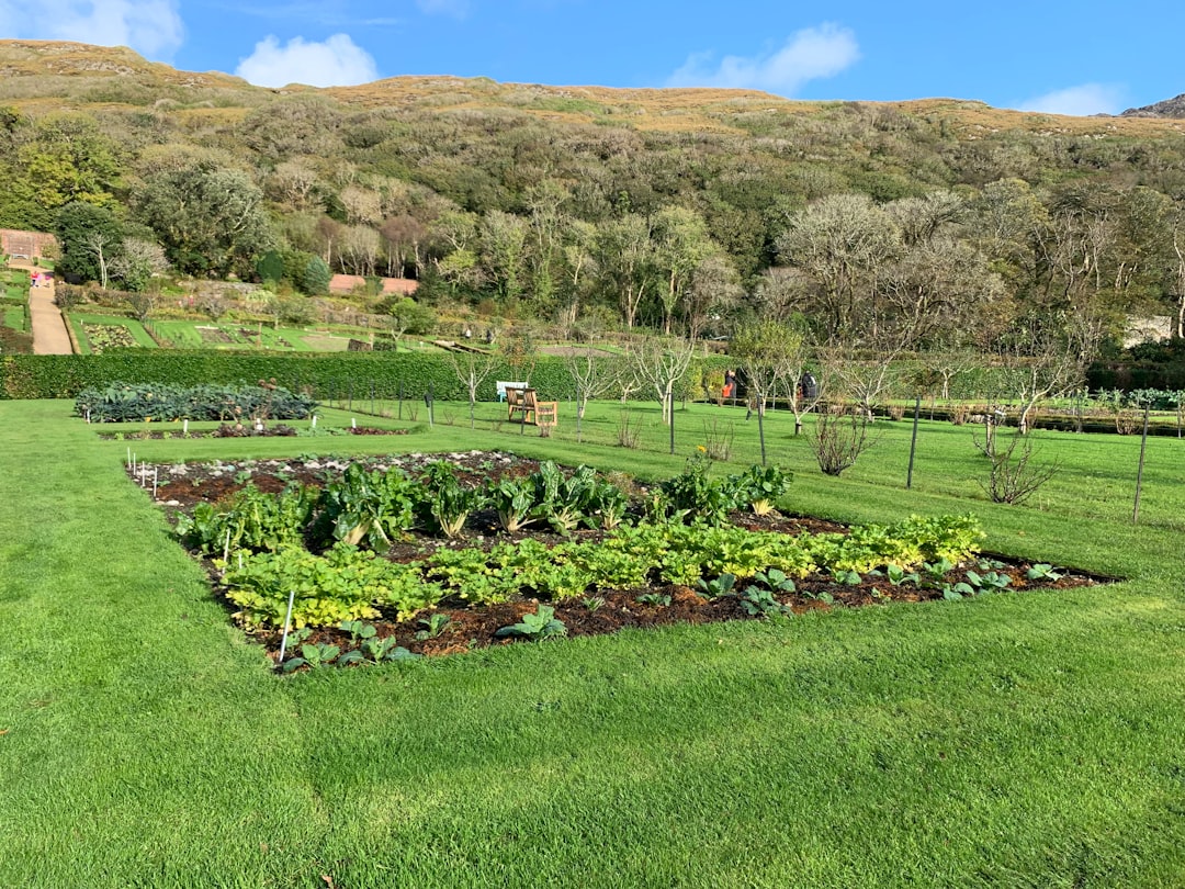Rows of mixed vegetables planted together in a companion planting vegetable garden