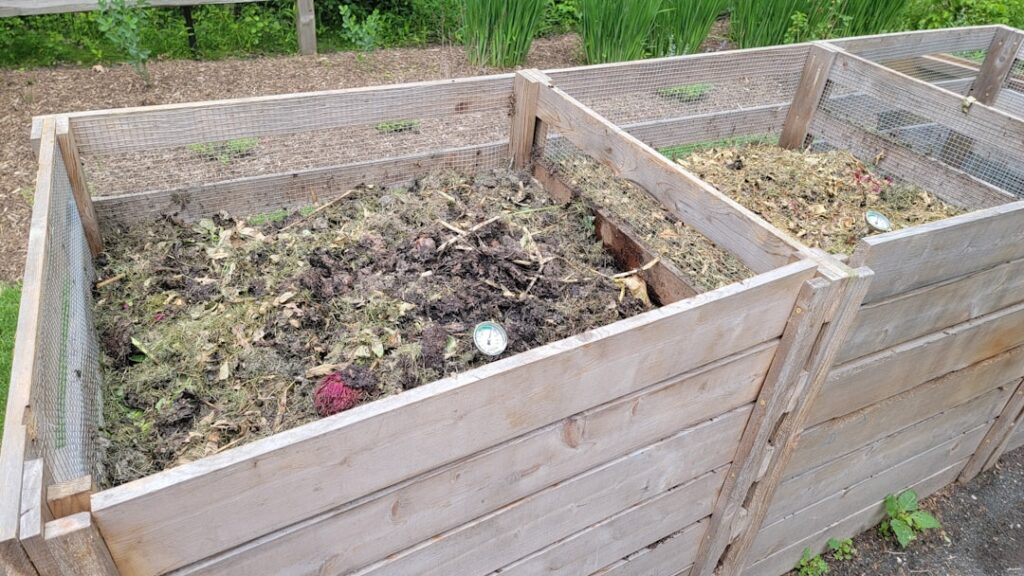 Two wooden compost bins filled with dark composting material