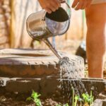 A hose watering a raised vegetable bed